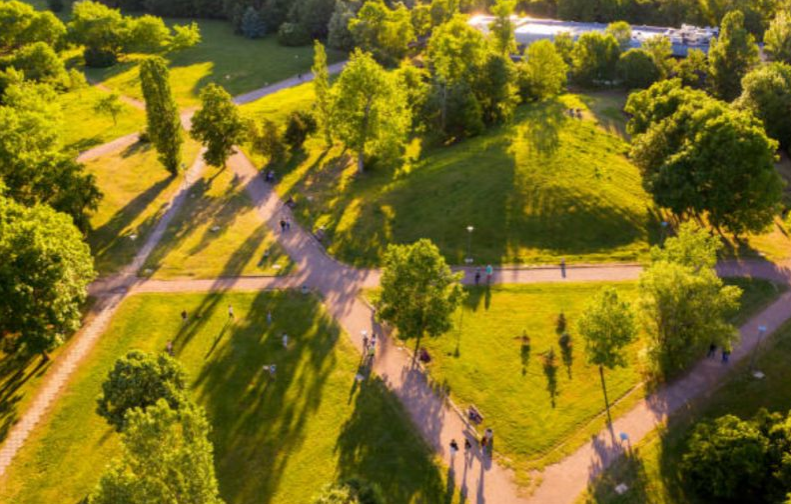 Sendero natural en espacio protegido con vegetación