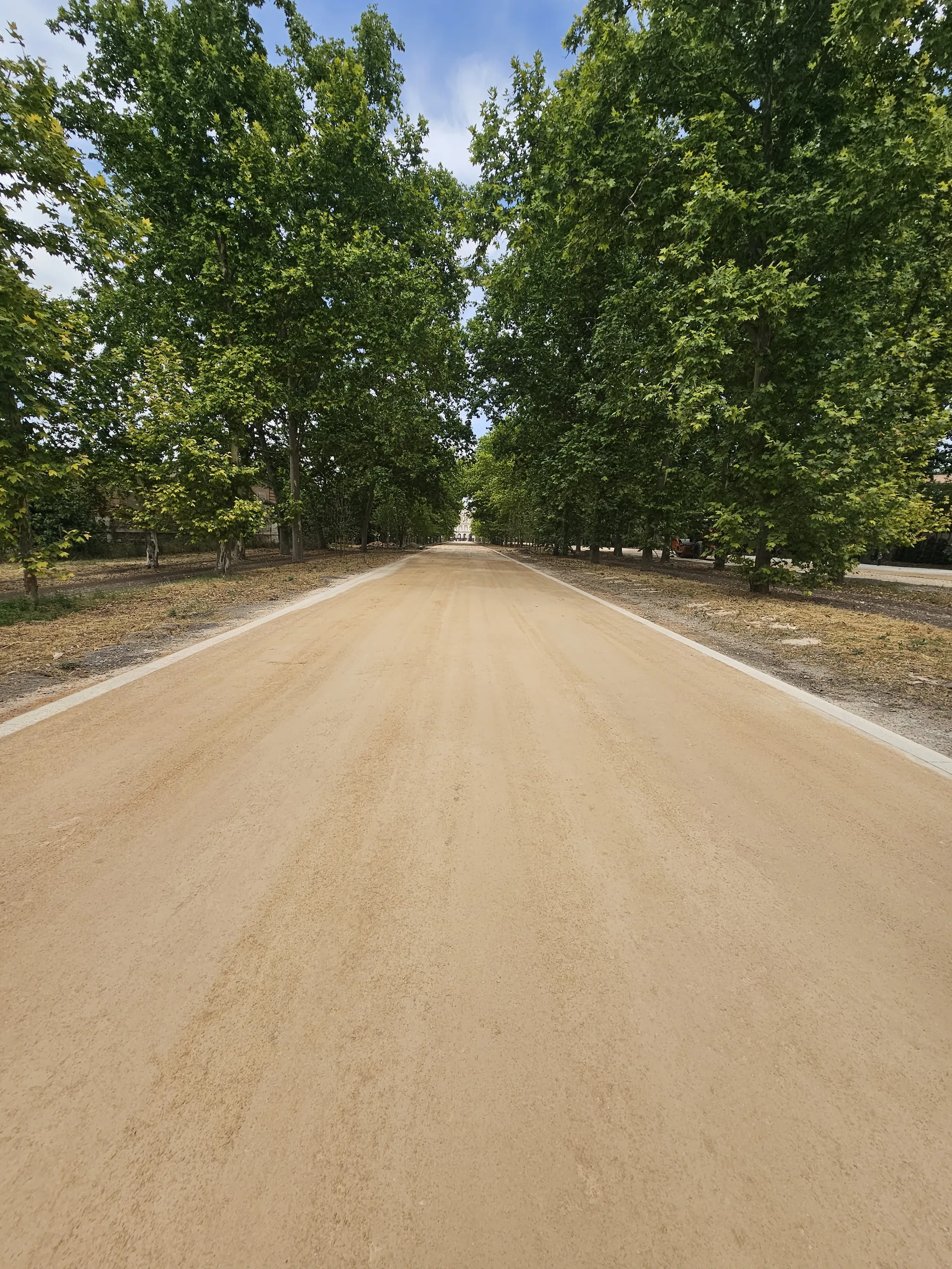 Avenida de acceso con pavimento terrizo estabilizado y arbolado · Aranjuez
