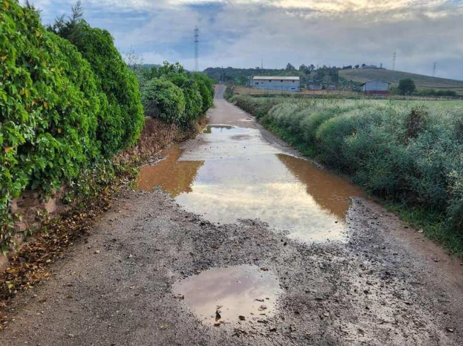 Camino de tierra con barro — estabilización de suelos SEI