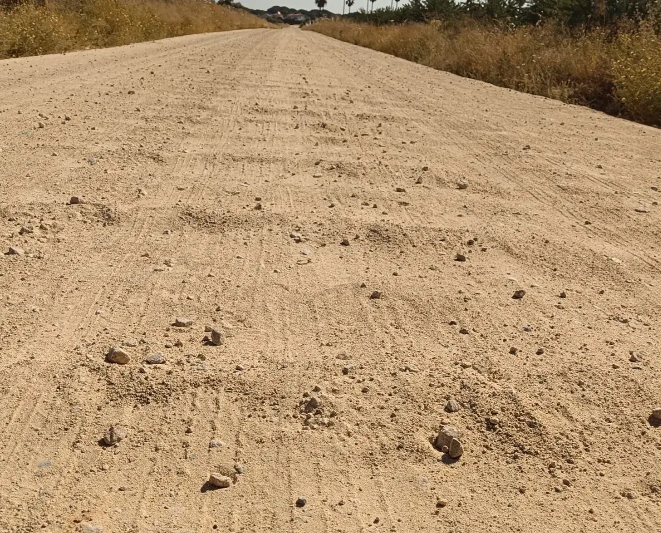 Camino rural con erosión visible y surcos hídricos