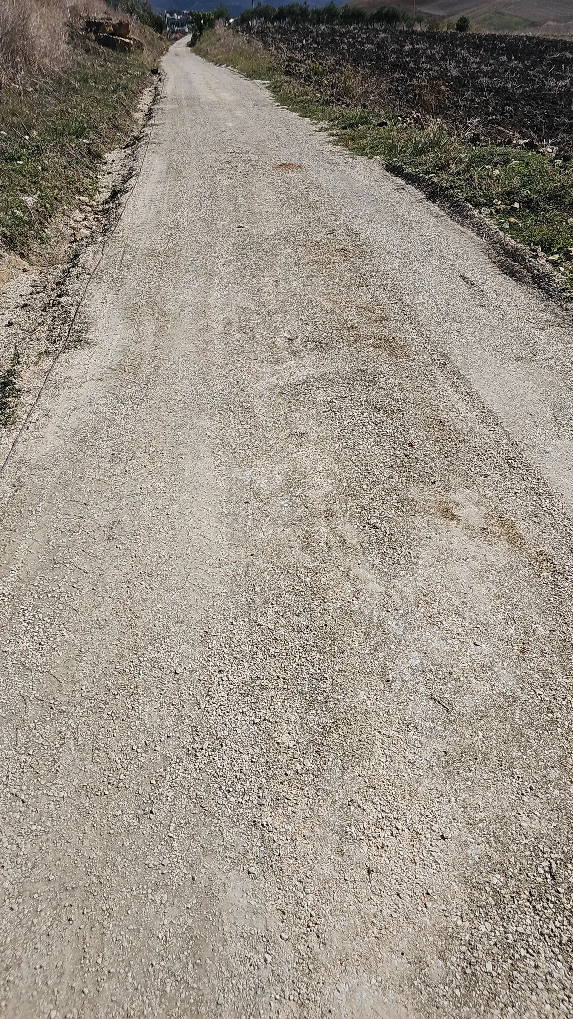 Textura pavimento terrizo estabilizado carril bici Sicilia SEI