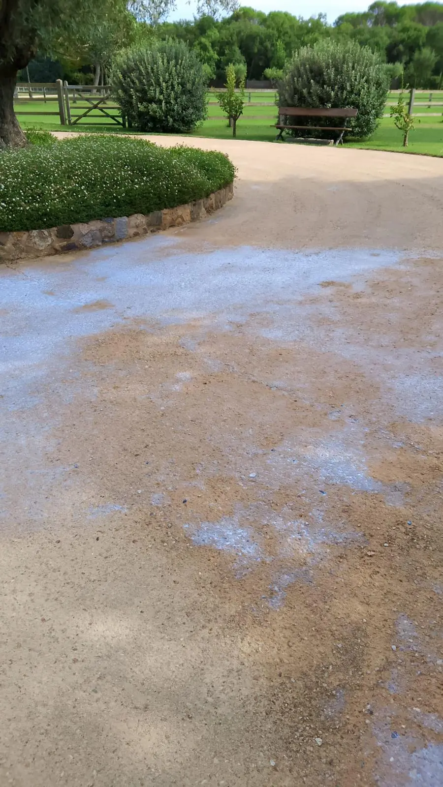 Detalle del tratamiento de fijación superficial recién aplicado sobre camino de tierra